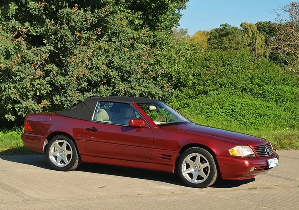 Mercedes-Benz SL cena 80000 przebieg: 115000, rok produkcji 1997 z Warszawa małe 781